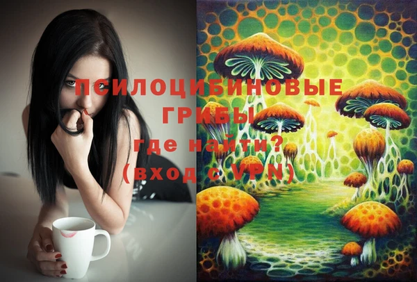 мдпв Верхний Тагил