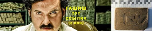 мдпв Верхний Тагил