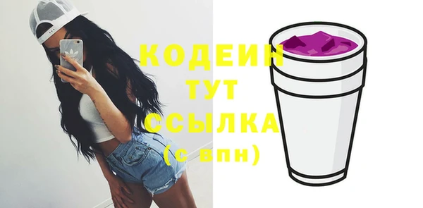 мдпв Верхний Тагил