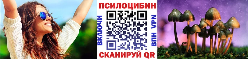 блэк спрут онион  Черноголовка  Галлюциногенные грибы мицелий 